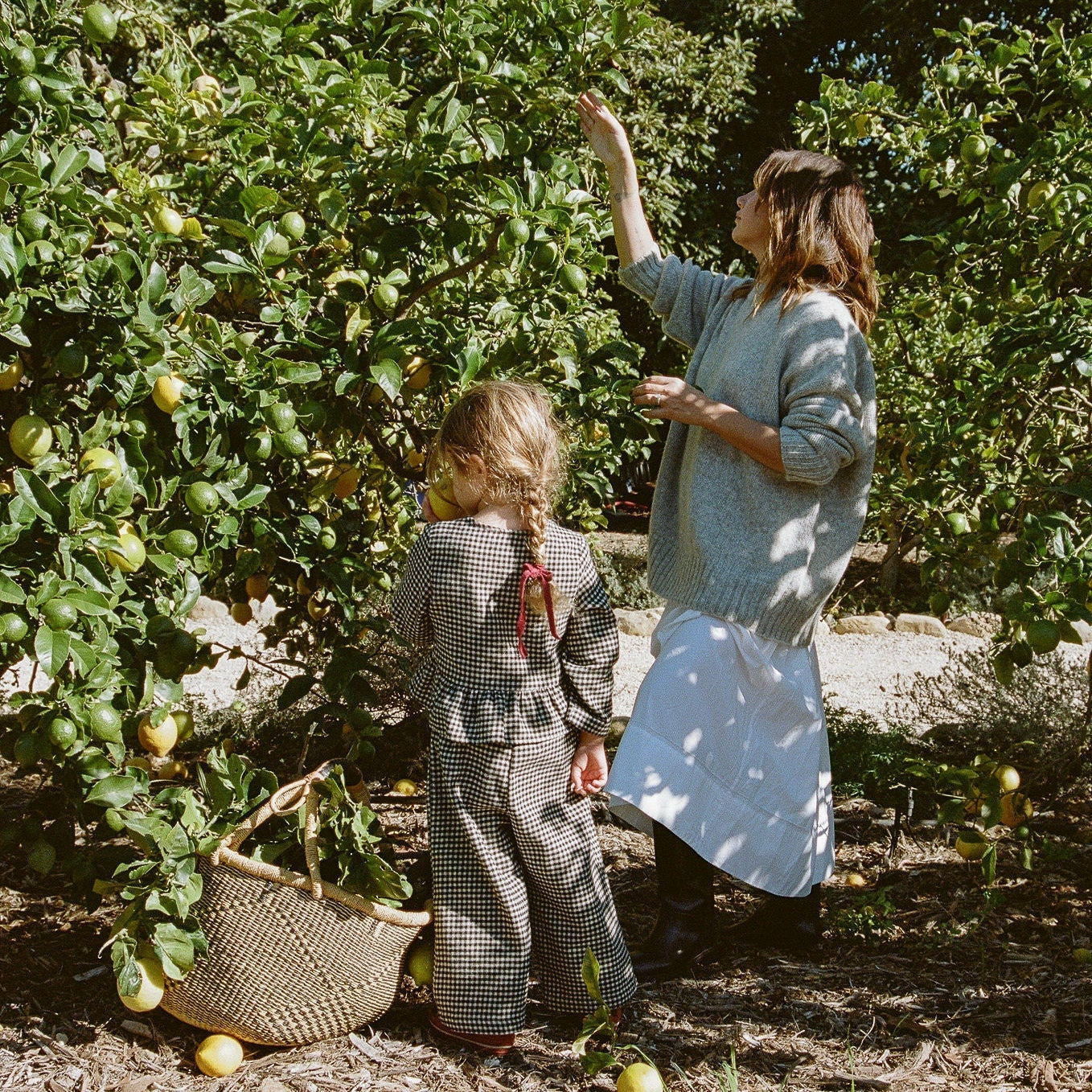 The Case For an Adventure Day