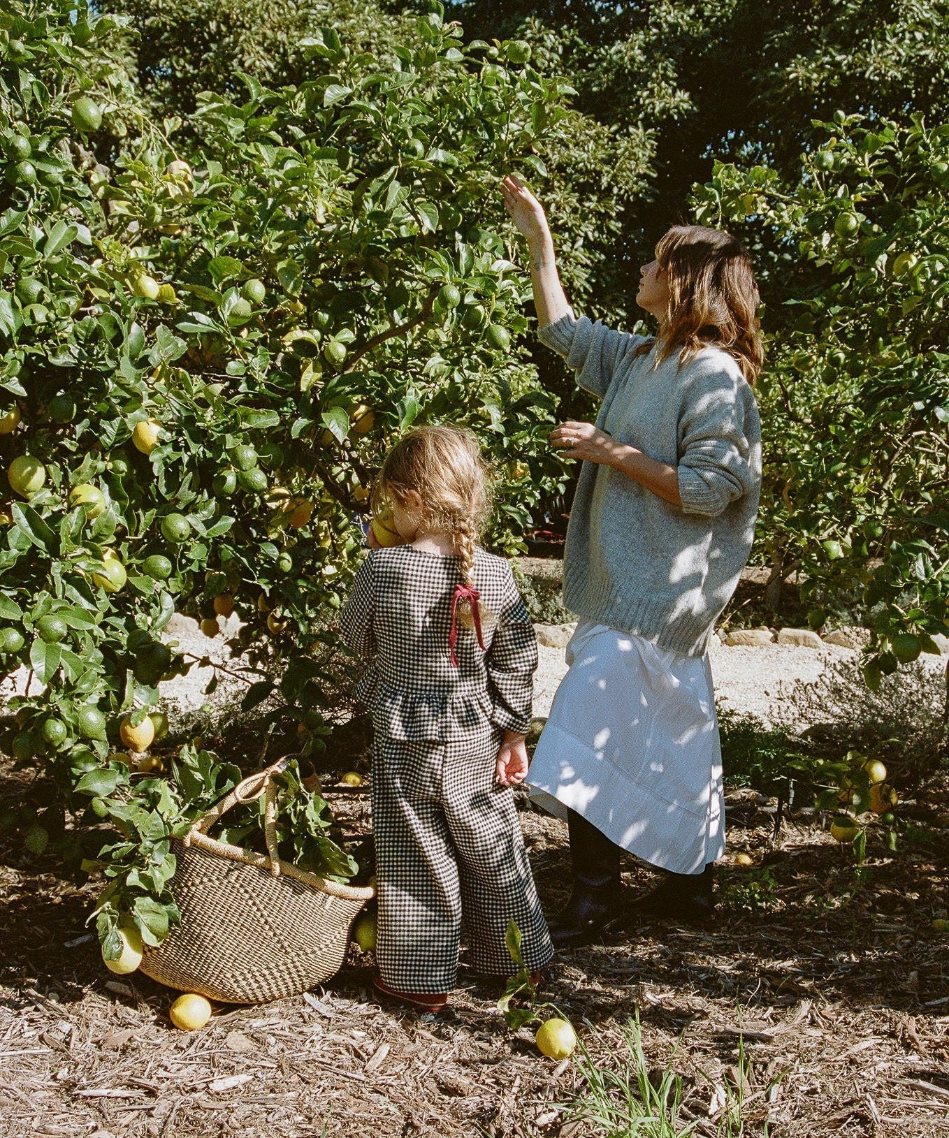 The Case For an Adventure Day