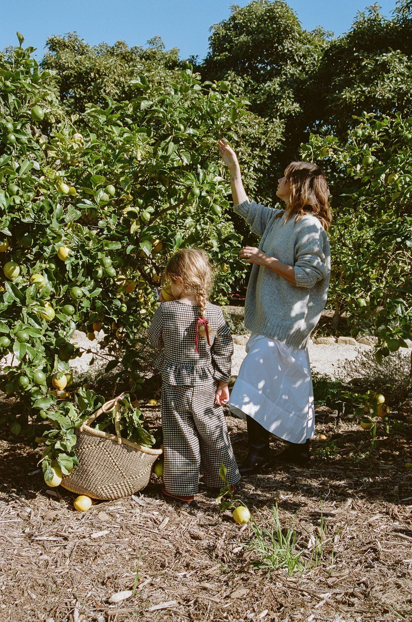 The Case For an Adventure Day