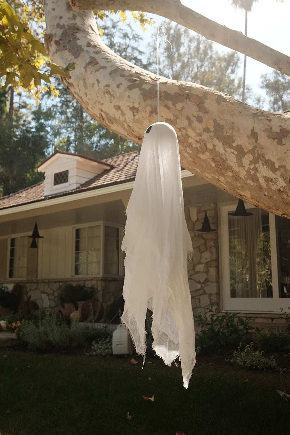 Our just-spooky-enough Halloween display