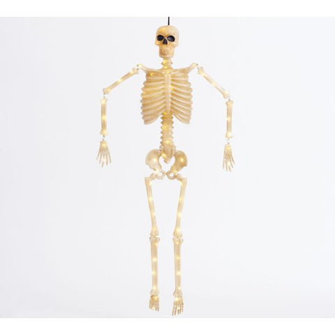 Lit Mr. Bones