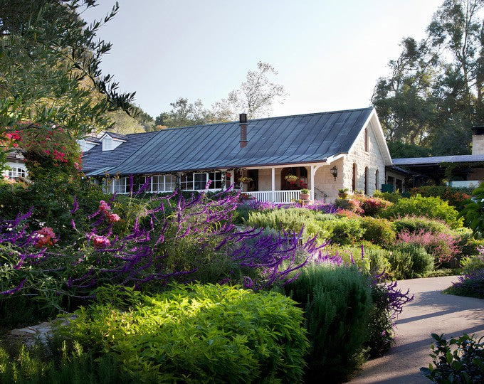 Where to Eat and Shop in Montecito